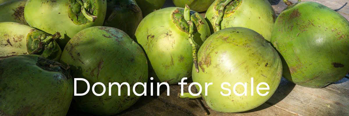 DuaVietNam.com